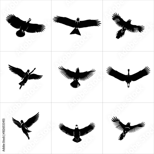 Black silhouettes of eagles in various flight poses isolated on white background