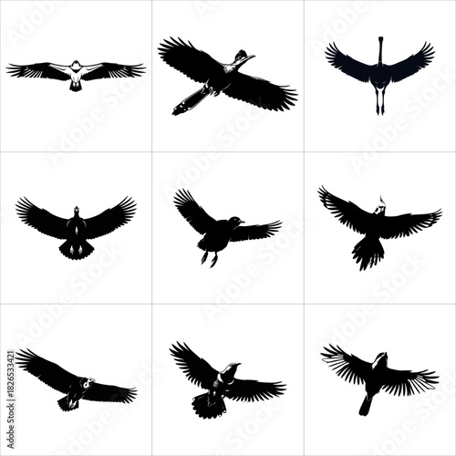 Collection of black bird silhouettes in various flight poses isolated on white background