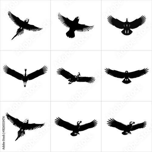 Set of black bird silhouettes in various flight poses, isolated on white background