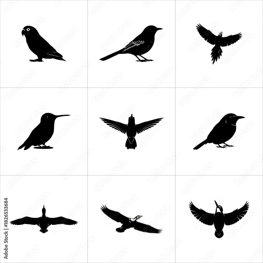 Obraz premium Collection of various bird silhouettes in flight and perching, isolated on white background