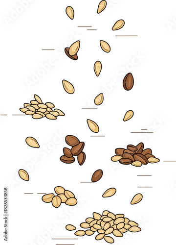Create a kinds of deferent Falling sesame vector art with white background.