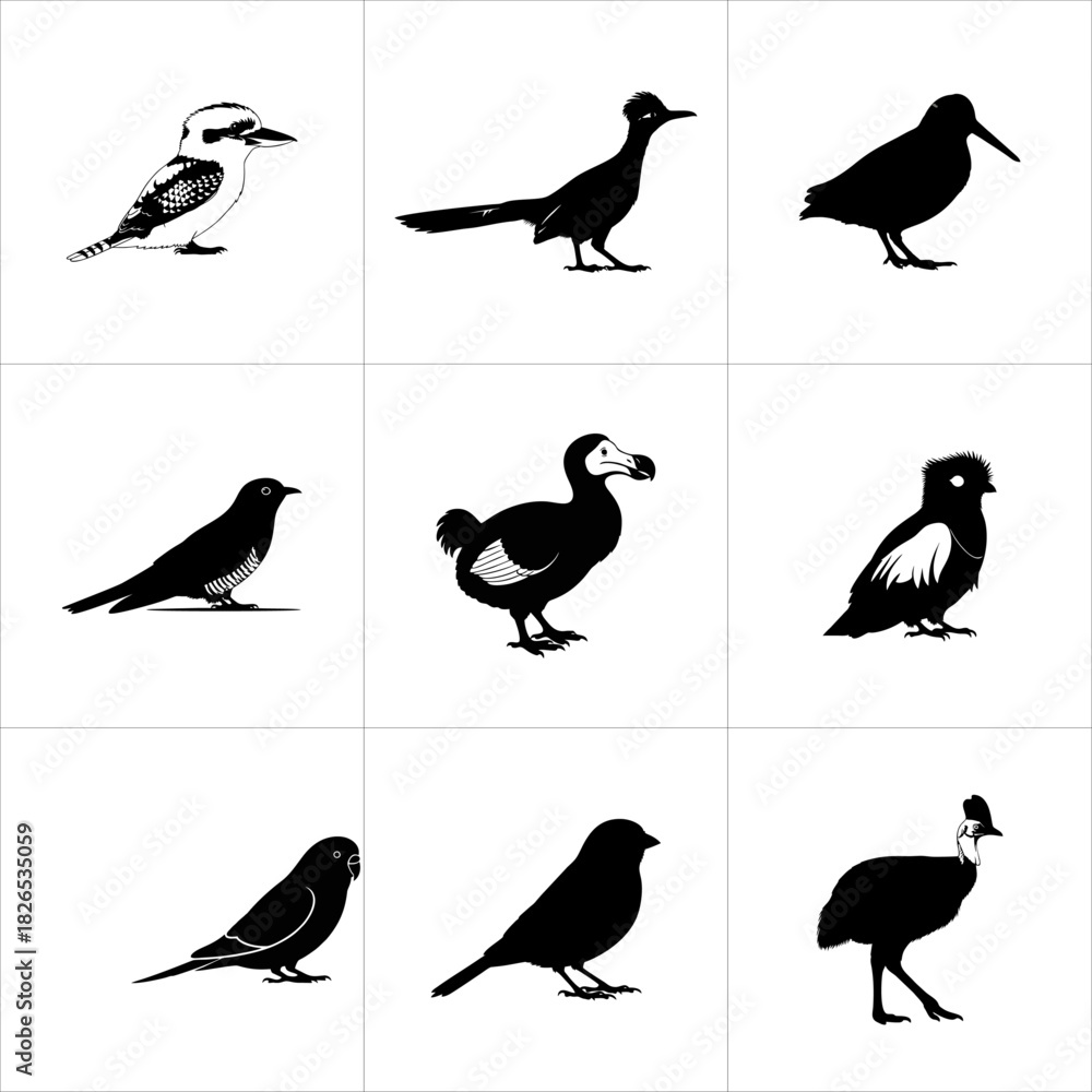 Fototapeta premium Collection of various bird silhouettes isolated on white background