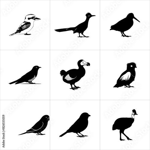 Collection of various bird silhouettes isolated on white background