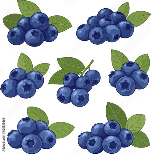Create a  kinds  Fresh blueberries with green leaves vector art with white background..