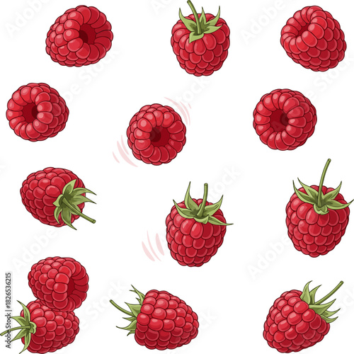 Create a kinds of deferent Fresh raspberries falling vector art with white background.