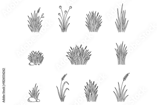 set of Grass Tufts Illustration,
Minimalist Grass Tufts Illustration,
Hand-Drawn Black Line Art on White Background