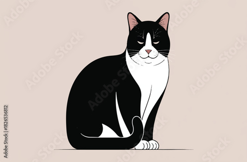 vector illustration of a black cat