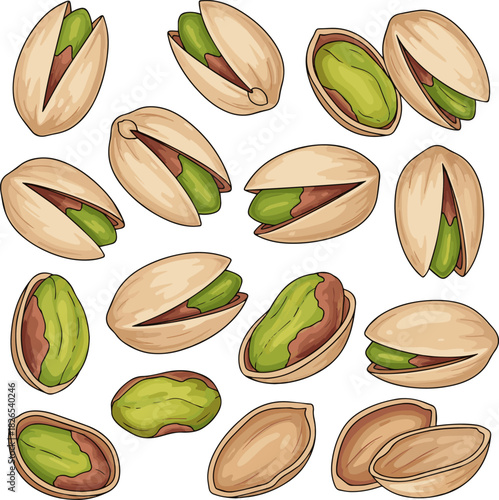 Create a kinds of deferent Pistachios in their shells vector art with white background.