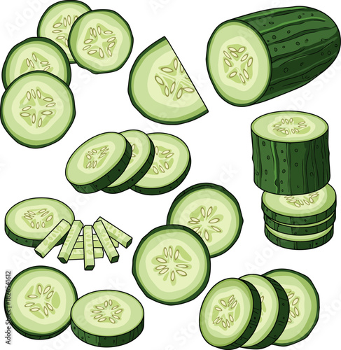 Create a kinds of deferent Sliced cucumber vector art with white background..
