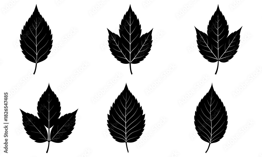 Obraz premium Elegant leaf silhouettes for nature-inspired designs, perfect for botanical prints and eco-friendly branding, bringing a touch of organic beauty to your projects