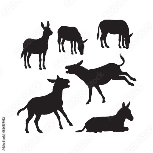 Donkey Animal Silhouette Vector Set