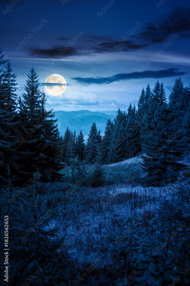 Obraz premium mountain landscape with evergreen forest in autumn at night. scenic place with coniferous trees on hillside under dark sky in full moon light. vertical background for investment or abstract concepts