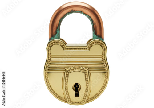 Tableau sur toile Isolated antique brass padlock with rusted shackle, ornate and secure, for secur