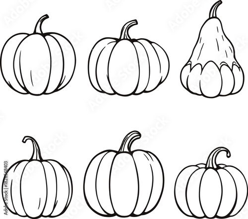 Pumpkin and gourd illustration set in black line style featuring diverse shapes and ribbing variations