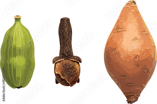 Cardamom pod, nutmeg seed, sweet potato tuber, spice and vegetable comparison, culinary ingredients, botanical diversity, white