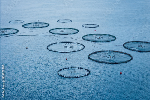 Offshore aquaculture fish farming, cages for growing fish in sea, Global aquaculture industry produce a sustainable animal protein, Aerial view