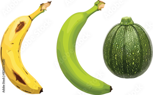 Ripe banana, green banana, zucchini vegetable, isolated on white background, comparison of ripeness, fresh produce, food contrast