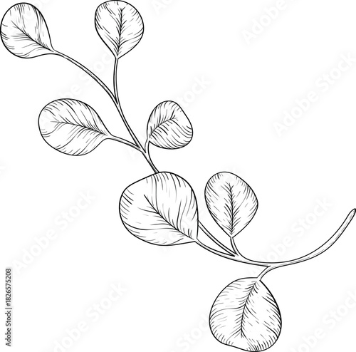 Black and white ink style vector illstration of gardening tools and supplies. Spring mood engraving for packaging, cards and decorative purposes