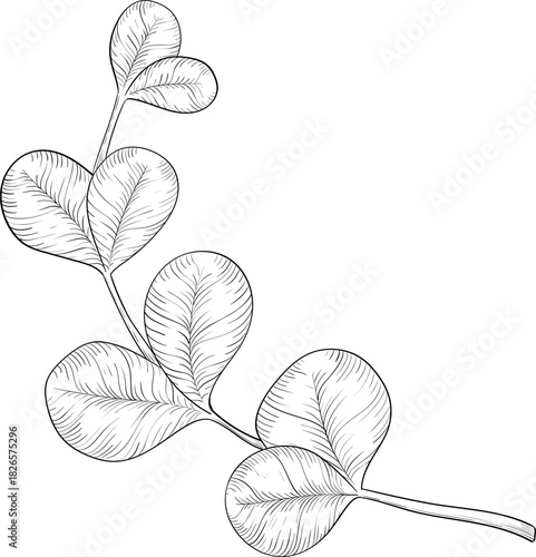 Black and white ink style vector illstration of gardening tools and supplies. Spring mood engraving for packaging, cards and decorative purposes