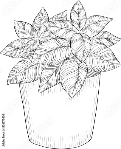 Black and white ink style vector illstration of gardening tools and supplies. Spring mood engraving for packaging, cards and decorative purposes