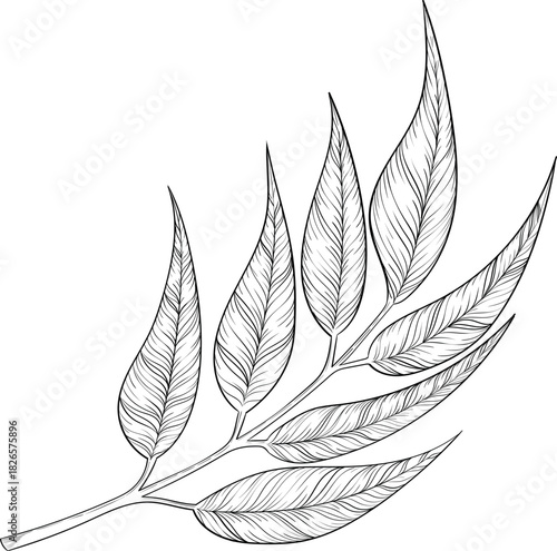 Black and white ink style vector illstration of gardening tools and supplies. Spring mood engraving for packaging, cards and decorative purposes