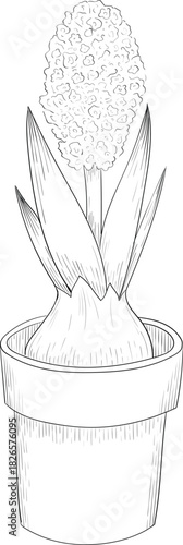 Black and white ink style vector illstration of gardening tools and supplies. Spring mood engraving for packaging, cards and decorative purposes