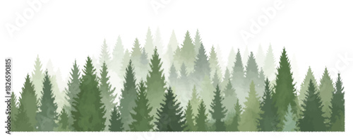 Forest trees watercolor vector illustration, pine tree panorama view, lush forest landscape, natural scenery