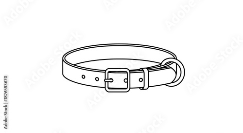 belt isolated on white background