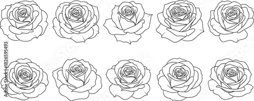 tylized rose line drawing set with symmetrical floral patterns, petal variations, botanical art, romantic design, and black outlines