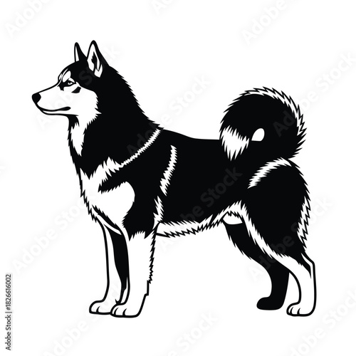 Black and white husky dog breed profile vector illustration