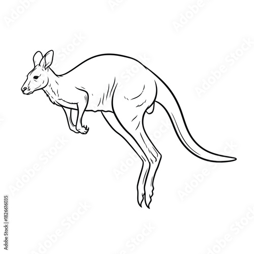 Black and white line drawing of a kangaroo jumping