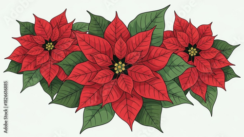 Three vibrant poinsettia flowers with lush green leaves create a festive holiday arrangement on a clean white background for seasonal cheer