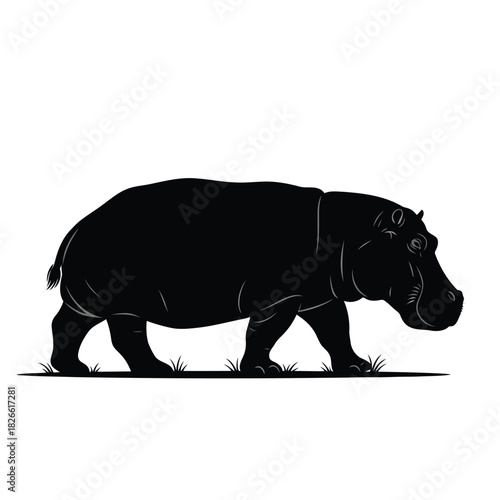 Silhouette of a hippopotamus walking