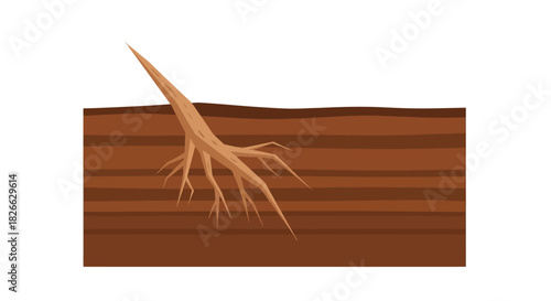 An illustration of a plant root growing underground with multiple branches in brown soil layers on a white background.