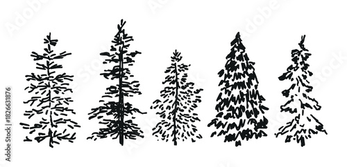 Set of black ink hand drawn Christmas trees in sketch style. Evergreen fir and pine tree silhouettes for forest design, New Year and winter decorations. Vector illustration.