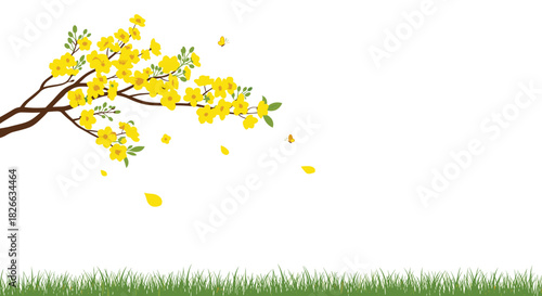 Beautiful yellow flowers blooming on a branch with scattered petals, accompanied by lush green grass on a clean white background.