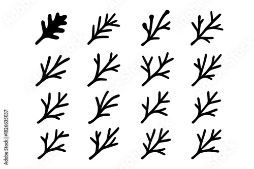 Bare Branch Icon Grid. Bare branches. Solid icon set of bare branches: oak branch, pine branch, willow branch, maple branch, birch branch, cherry branch, elm