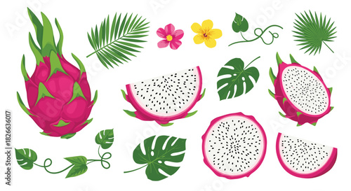 Vibrant tropical collection featuring whole and sliced dragon fruit alongside exotic palm, monstera leaves, and bright flowers.