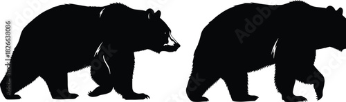 Bear silhouette vector, walking bear poses, wildlife animal illustration, black graphic art, forest creature design, nature themed clipart