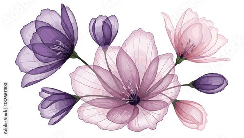 Elegant floral design featuring translucent flowers in soft purple and pink hues, perfect for wedding invitations or delicate branding projects