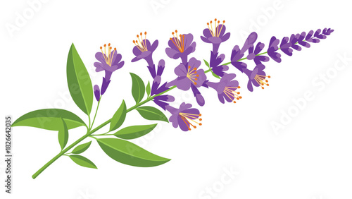 Elegant purple wildflowers with vibrant green leaves bring a touch of nature to your designs with a fresh and modern aesthetic