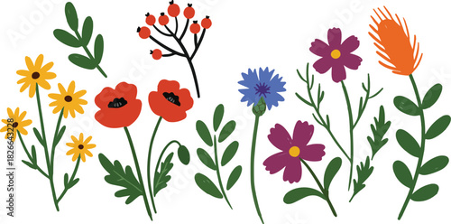 Colorful spring summer floral collection botanical design set