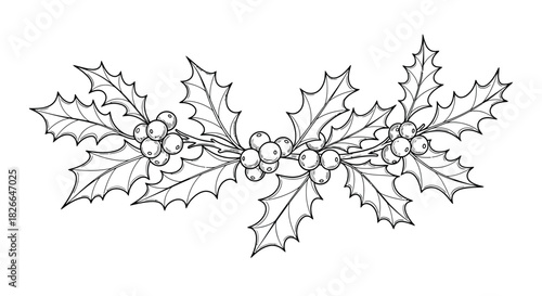 Hand drawn holly berry garland line art for festive decorations