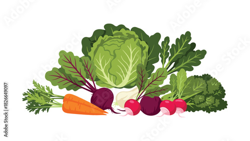 Freshly harvested vegetables for healthy eating promotion or farm market ad campaign with cabbage, carrots, radishes, garlic, beets