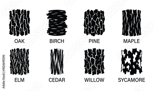 Set of eight tree bark textures including oak, birch, pine, maple, elm, cedar, willow, and sycamore