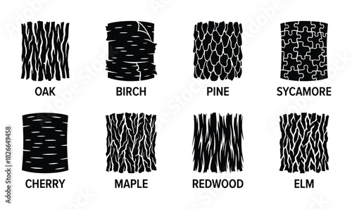 Set of eight tree bark textures including oak, birch, pine, sycamore, cherry, maple, redwood, and elm