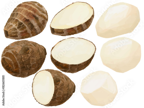 里芋のいろいろな切り方セット ベクターイラスト