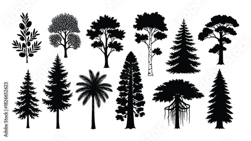 Set of trees silhouettes isolated on white background, black outline plants collection for design