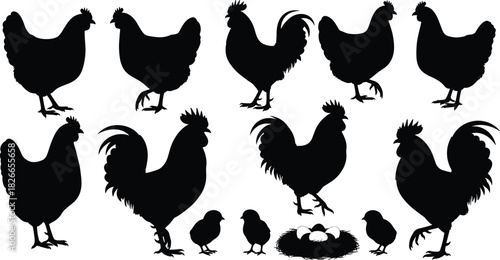 Chicken silhouette, rooster vector, chick illustration, poultry icons, farm animal clipart, egg nest graphic, livestock design, agriculture elements