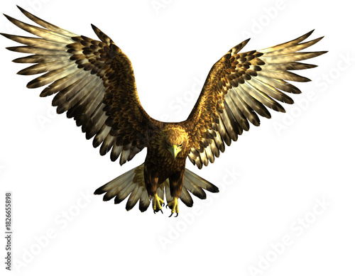 空を飛ぶイヌワシ